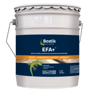 EFA+