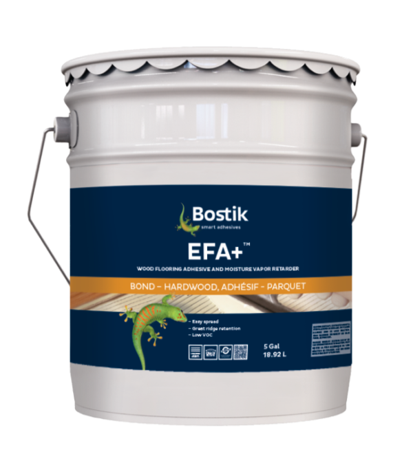 EFA+